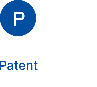 P：Patent